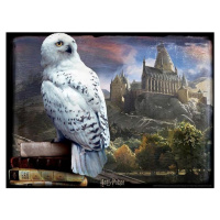 HM Studio 3D Puzzle Harry Potter Hedvika 500 dielikov