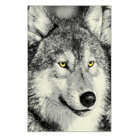 Sconto Koberec KOLIBRI 5 vlk sivý, 133x190 cm