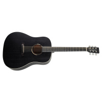 Tanglewood TWBB SD E