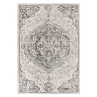 Sivo-krémový koberec 160x230 cm Nova – Asiatic Carpets