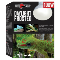 Žiarovka Repti Planet Daylight Frosted 100W