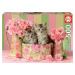 Educa puzzle Kittens with Roses 500-dielne s fix lepidlom 17960