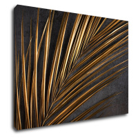 Impresi Obraz Zlatý detail palma - 70 x 50 cm