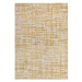 Žltý koberec 120x170 cm Mason – Asiatic Carpets