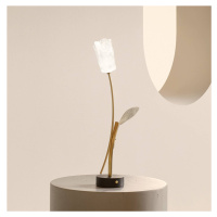 Slamp LED dobíjacia stolová lampa Tulip, čierna základňa