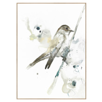 Obraz 50x70 cm Bird – Malerifabrikken