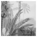 Komar Fototapeta Lac Tropical Black & White 200x270 cm