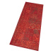 Kusový koberec Celebration 103467 Plume Red Rozmery koberca: 160x230