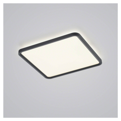 Helestra Vesp LED panel backlight 61x61 cm čierna