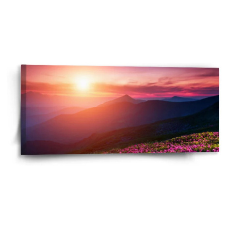 Obraz Rozkvitnutá príroda - 110x50 cm