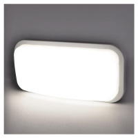 Luster ALBIN LED 20W White 03691 IP55