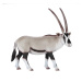 Mojo Oryx juhoafrický