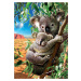 Puzzle Koala and Cub Educa 500 dielov a Fix lepidlo v balení od 11 rokov