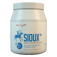 BARNY'S Sioux MSM prášok 600 g