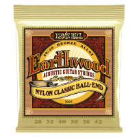 Ernie Ball 2069 Earthwood Folk