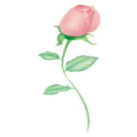 Stencil pre airbrush ruža - Martellato