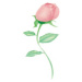 Stencil pre airbrush ruža - Martellato