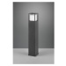 LED vonkajšie svietidlo (výška 80 cm) Witham – Trio