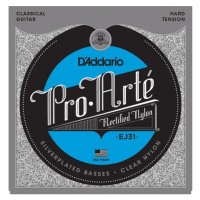 D'Addario EJ31