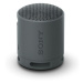 Sony SRS-XB100 Prenosný bezdrôtový reproduktor, čierna