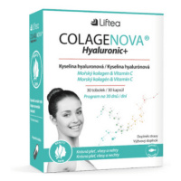 LIFTEA Colagenova hyaluronic+ 30 kapsúl