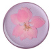 PopSockets PopGrip Gen.2, Pressed Flower Delphinium Pink