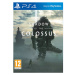 Shadow of the Colossus (PS4)