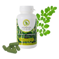 MORINGA CARIBBEAN Standard 60 kapsúl