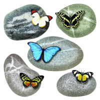 Samolepiaca dekorácia Butterflies on Stones, 30 x 30 cm