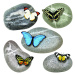 Samolepiaca dekorácia Butterflies on Stones, 30 x 30 cm