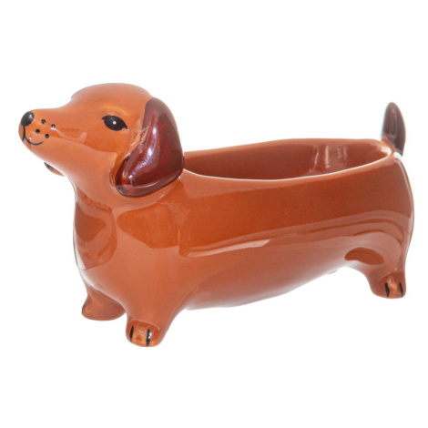 Porcelánová dekoratívna misa 5x14 cm Sausage Dog – Sass & Belle