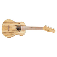 Fender Zuma Exotic Concert Ukulele WN SM