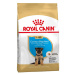 Royal Canin BHN GERMAN SHEPHERD PUPPY granule pre šteňatá nemeckých ovčiakov 12kg