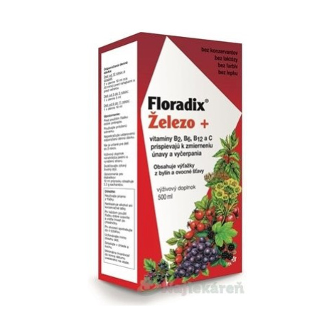 SALUS Floradix Železo +, 500ml