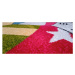 Sconto Detský koberec KOLIBRI vlajky, ⌀ 100 cm