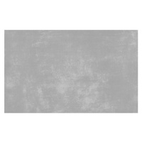 Obklad Ege Passion grey 25x40 cm mat PSN03