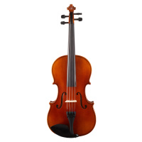 Bacio Instruments AA50 Concert Viola 16