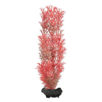 Dekorácia Tetra Rastlina Foxtail Red M 23cm