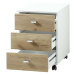 426459 Germania Rolling Filing Cabinet "Altino" 40x48,9x56,9 cm Navarra-oak and White