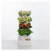 Plastový samozavlažovací kvetináč Bush - Tomasucci