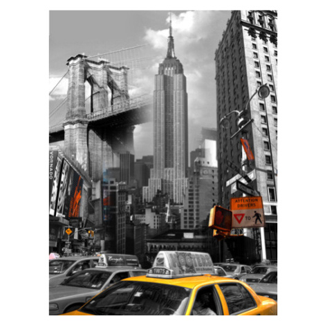 Obraz na plátne 40x50cm NEW YORK DOMINANTY čierno-biely