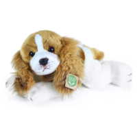 Plyšový pes Cavalier King Charles španiel ležiaci, 30 cm ECO-FRIENDLY