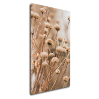 Impresi Obraz Škandinávsky štýl suchá tráva - 30 x 50 cm