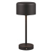 Matne čierna LED stmievateľná stolová lampa (výška 30 cm) Jeff – Trio