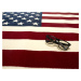 Kusový koberec American flag - 120x170 cm Alfa Carpets
