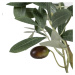 Umelý olivovník (výška  78 cm) Olive Tree – Ixia