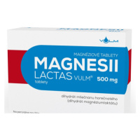 Vulm Magnesii lactas 500 mg 60 tbl