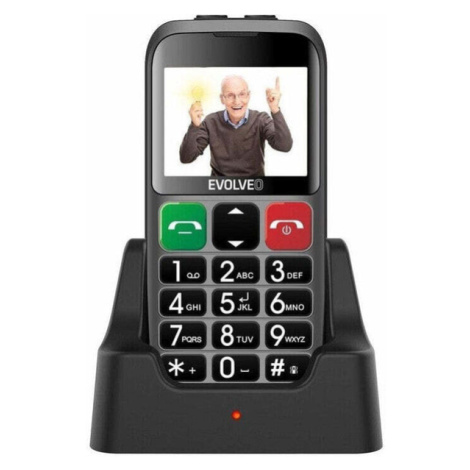 Tlačidlový telefón pre seniorov Evolveo EasyPhone EB, strieborná