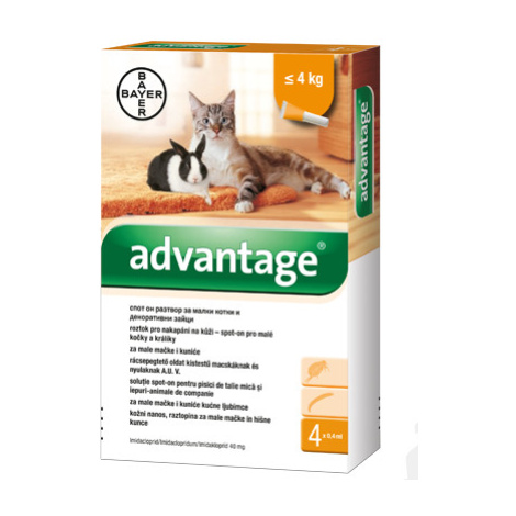 Advantage 40 10% 1x0,4ml pre mačky do 4kg