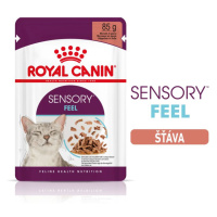 Royal Canin Pouch Sensory Feel in Gravy - 12 x 85g